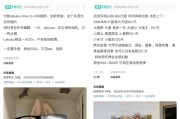 八字解读闲鱼：LABUBU搜索量环比上涨1000%，供不应求下现租赁新形式