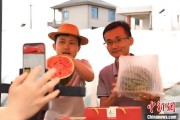 八字解读（乡村行·看振兴）江西安福“小西瓜”撬动乡村共富“大支点”