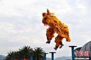 八字解读（文化中国行）壮乡狮舞闯南洋：脚踏“云桩” 饮誉海内外