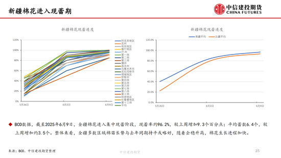 【棉花纺(🏬)谈】供应端阶段性缩量 疆棉基差坚挺